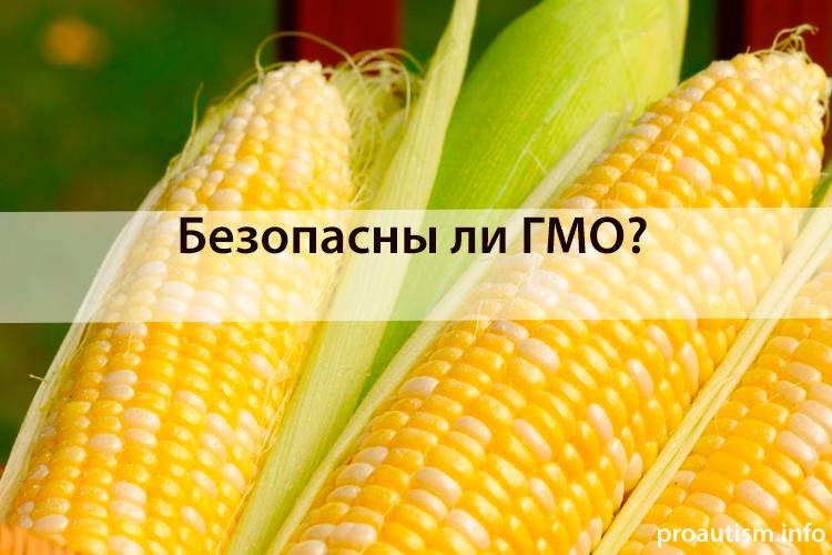 ГМО - осторожно, опасность!