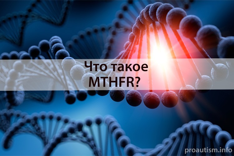 MTHFR
