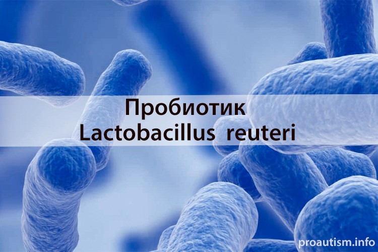 пробиотик Lactobacillus reuteri
