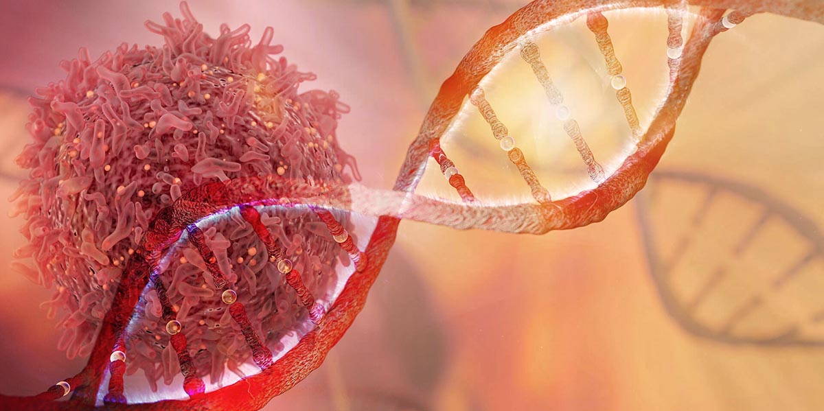 Как мутации одного и того же гена могут способствовать как раку, так и нарушениям развития?
